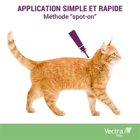 vectra felis chat 12 pipettes|Vectra Spot On Solution from £13 .